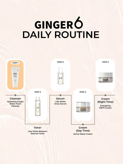 Ginger6 Hydrating Foam cleanser 150ml