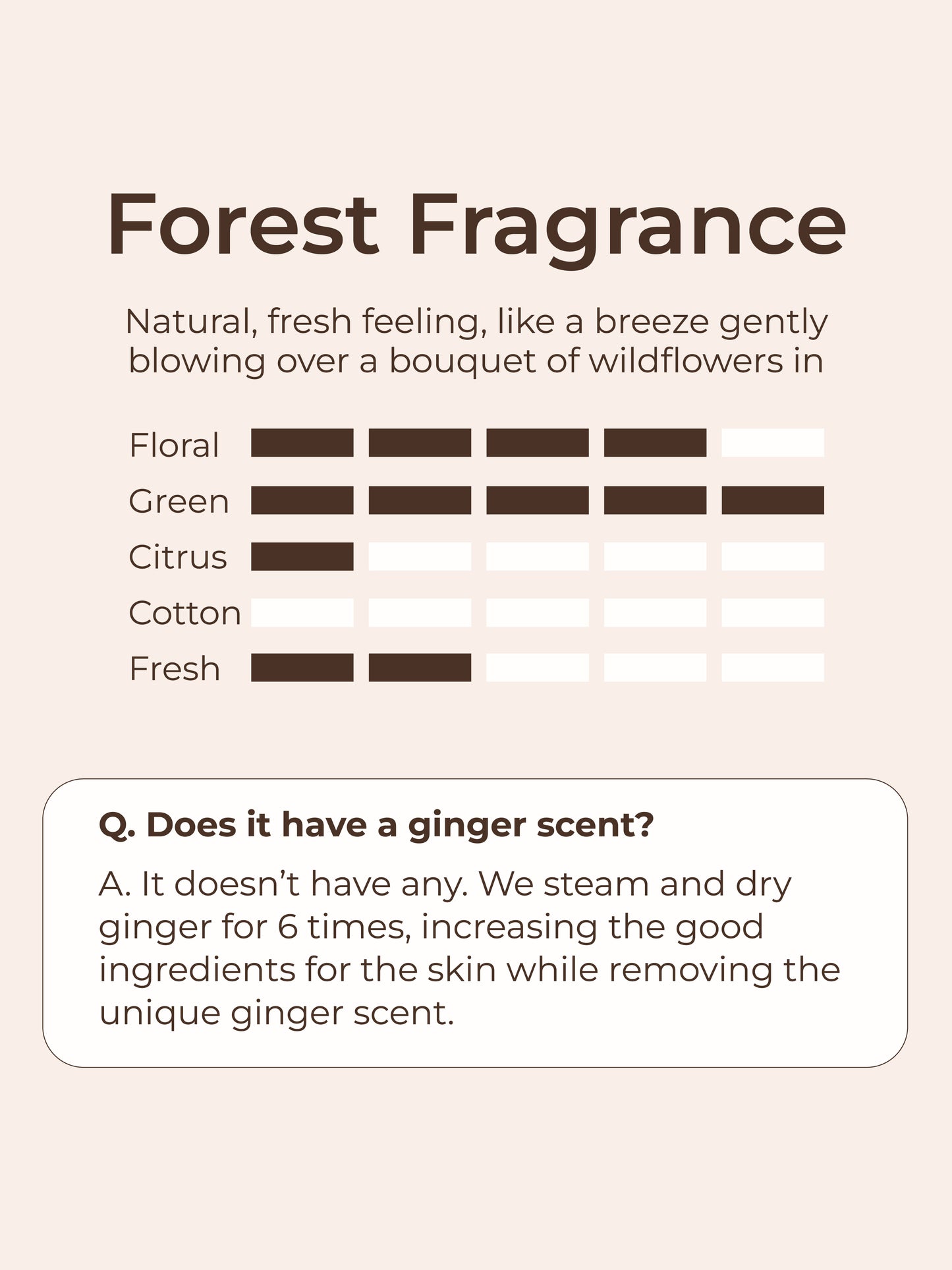 Ginger6 Hand Cream 60ml