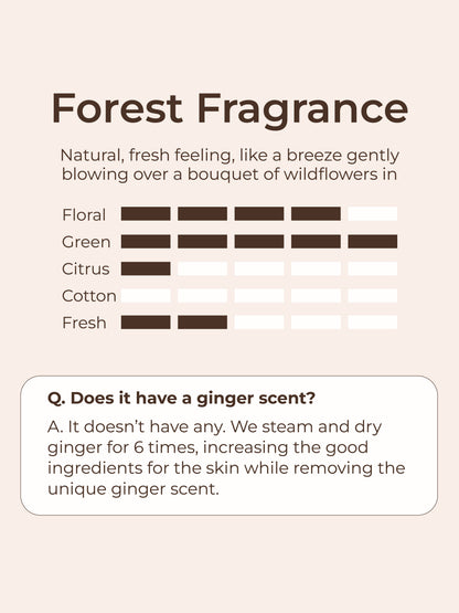 Ginger6 Hand Cream 60ml